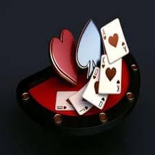 5566 bet