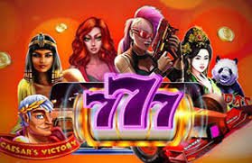 5566 bet